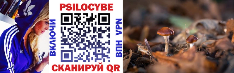 Псилоцибиновые грибы мухоморы Купить где Саяногорск